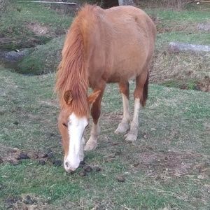 Meet your Posher, Kay